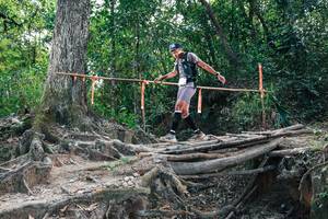 BIB: 
                            <button type="button" onclick="openModal(27808096)" class="btn btn-primary btn-sm float-right btn-popup" data-toggle="modal" data-target=".modal-high-quality">
                        <i class="fas fa-shopping-cart"></i> Add to Cart
                    </button>
                                            <button type="button" onclick="isThisMe(27808096, true)" class="btn btn-success btn-sm float-right btn-popup btn-isme hidden" data-toggle="tooltip" data-placement="bottom" title="นี่คือรูปของคุณใช่ไหม คลิกที่นี่เพื่อเอาเข้าอัลบั้ม">
                        <i class="fas fa-plus"></i> Add to album
                    </button>
                    <button type="button" onclick="isThisMe(27808096, false)" class="btn btn-warning btn-sm float-right btn-popup btn-isnotme hidden">
                        <i class="fas fa-ban"></i> Remove from album
                    </button>